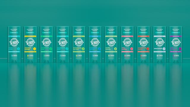 Lineup of all fragrances